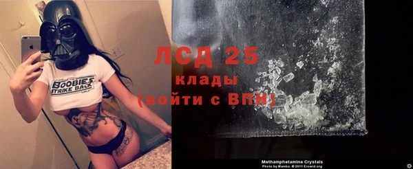 ПСИЛОЦИБИНОВЫЕ ГРИБЫ Абаза