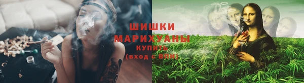 ПСИЛОЦИБИНОВЫЕ ГРИБЫ Абаза