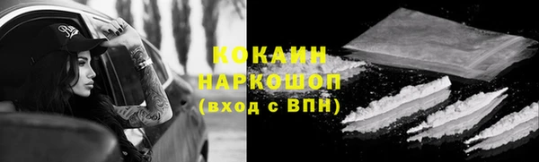 ПСИЛОЦИБИНОВЫЕ ГРИБЫ Абаза