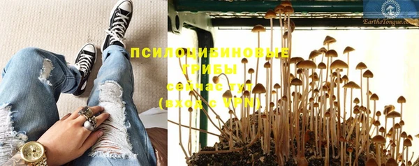прущие грибы Протвино