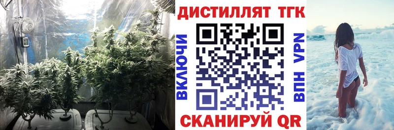 darknet как зайти  Ковдор  Дистиллят ТГК THC oil  KRAKEN сайт 