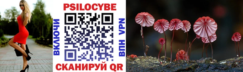 цена наркотик  Ковдор  Галлюциногенные грибы Magic Shrooms 
