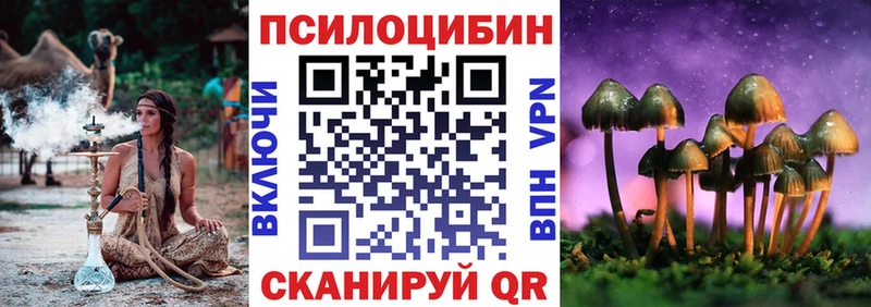 Псилоцибиновые грибы Psilocybine cubensis Ковдор